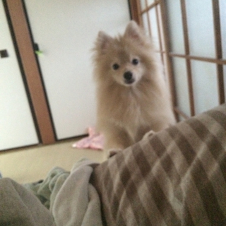 ※申し訳ありません。一旦募集を停止いたします。
