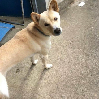 家族ができました！！