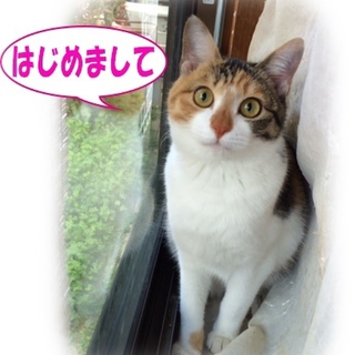 性格のイイ子です。