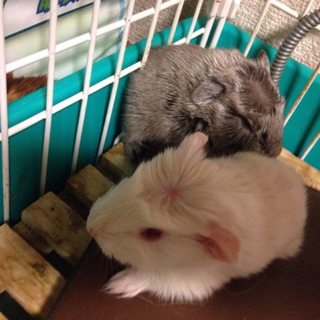 産まれたて！
