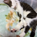 ★超甘えん坊くん★