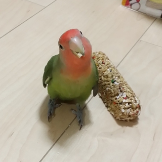 たくさんのご応募ありがとうございました