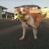 宜しくお願いします サムネイル4