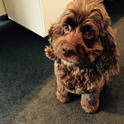 皆様、大変お待たせ致しました。