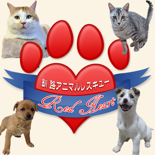 釧路アニマルレスキューredheart ペットのおうち 月間利用者150万人