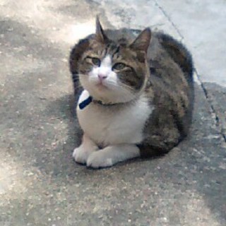 おっとり男前のお兄ちゃん◎だけど声が可愛いんです☆