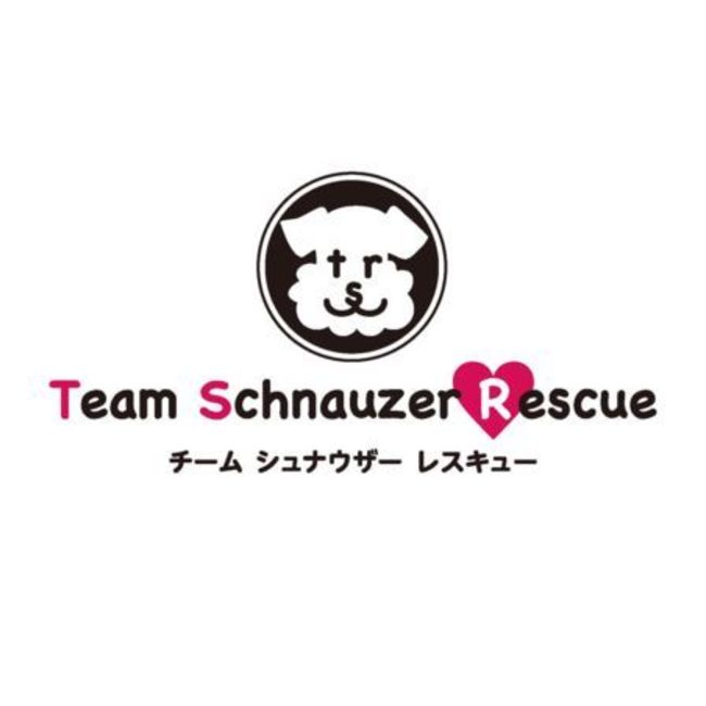 【 ＴＳＲ 】 チーム シュナウザー レスキューのカバー写真