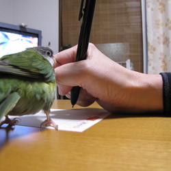 私が書き方　教えてあげるぅ～