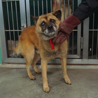 里親さまのお迎えがあったそうです♪♪