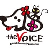 一般社団法人 the VO...(保護活動者)