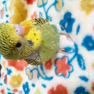 多数のご応募ありがとうございました。