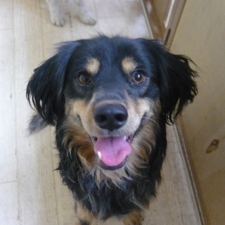 福島の保健所より再出発～元気な男の子～