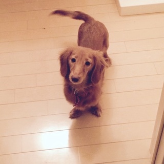 早めにお願いします