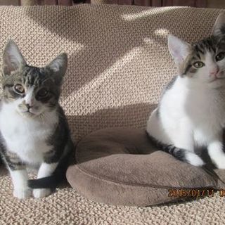 甘えんぼ過ぎて可愛い兄弟です