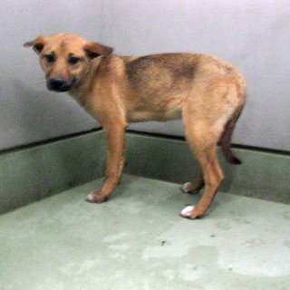 譲渡されました！！