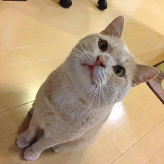 賑やかな家族に迎えていただきましたありがとうございました！