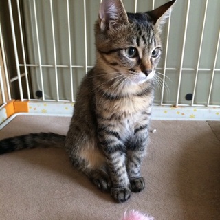 ちぃこちゃん 5ヶ月です！