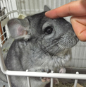 里親様決まりました！