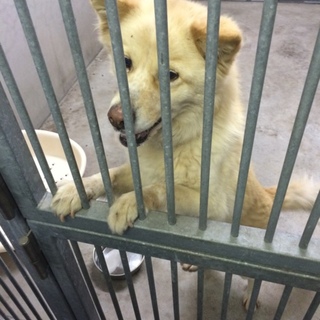 緊急！収容スペースが厳しくなりました