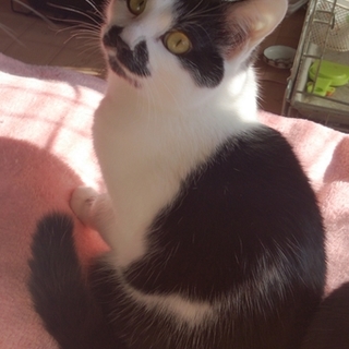 お転婆さんのチビうめちゃん