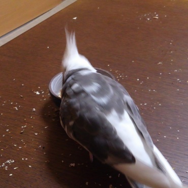 食べ散らかすとは・・・こぅゆ～事ですよね(笑)