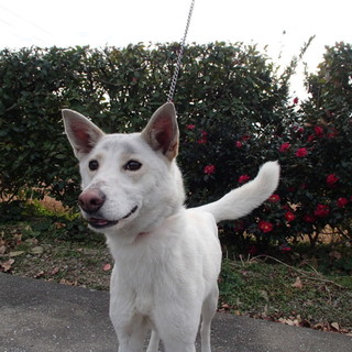 譲渡されました！！