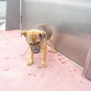 それぞれ家族ができました！！