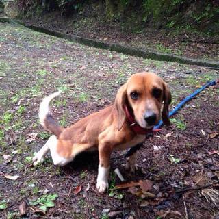 この子の命を救ってください。