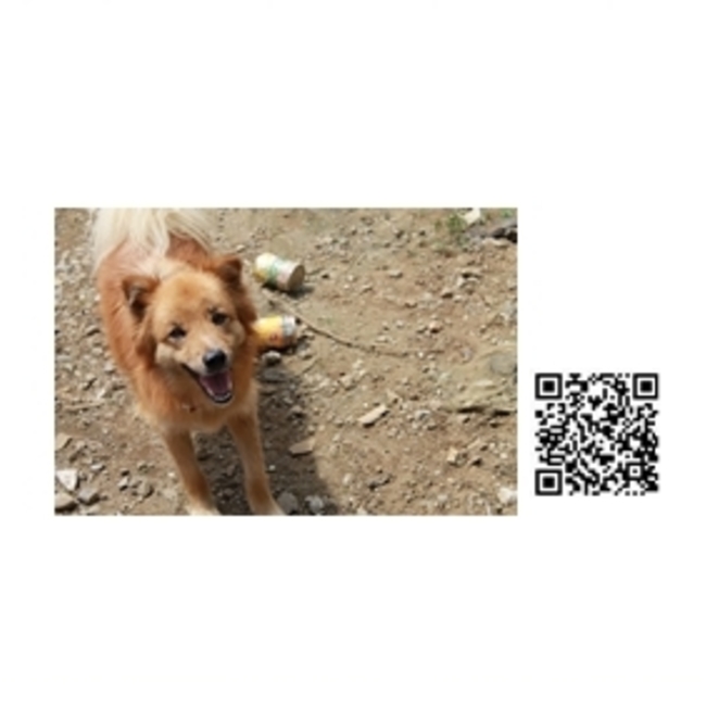 さいたま３０ワンズのカバー写真