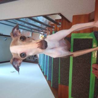 幸せにしてあげてください