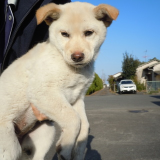 新しい家族のお迎えがありました！！