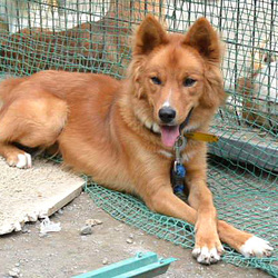 もてもてたくちゃん