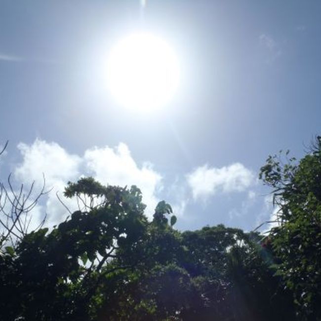 ぴろごんのカバー写真
