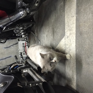 緊急。助けて下さい。