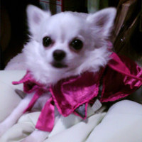 グレース（路伊・るい）君