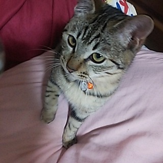 お顔スリスリ、ゴロゴロ❤ちー君