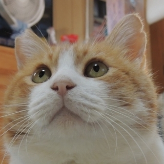 体を触られるのが怖い‼　イケメンみっくん