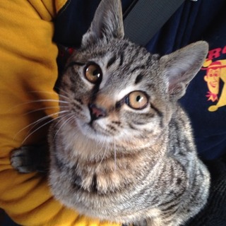 たくさんのご応募ありがとうございました！すべての方に返信できなくて申し訳ありません