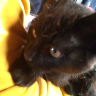 全ての方に返信出来なくて申し訳ありませんでした。