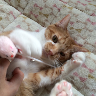 おとぼけ甘えん坊「あのね」くん☆「面談予定」