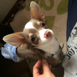 「ロッティーとの出会いは・・・」サムネイル2