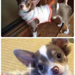 「ロッティーとの出会いは・・・」サムネイル3