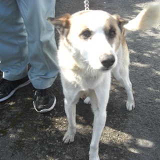 譲渡されました！！