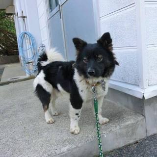 この子の命を救ってください。