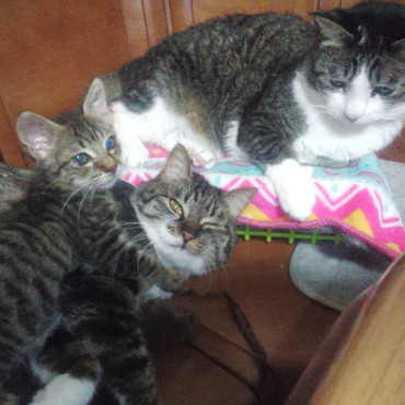 生（いく）の写真