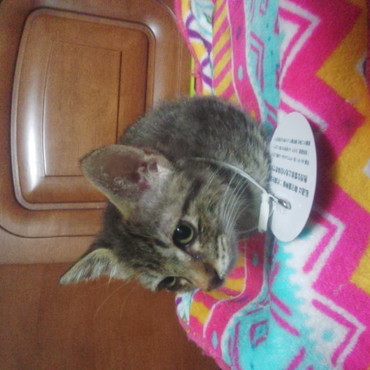 生（いく）の写真