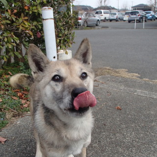 譲渡されました！！