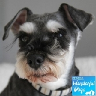 「カルーア」推定６歳♀