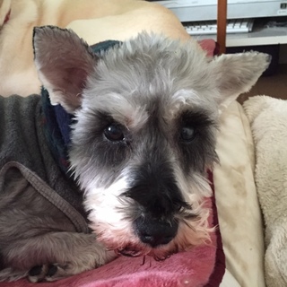 甘えたで天真爛漫な男の子♪