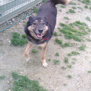 キュートな今日子ちゃん